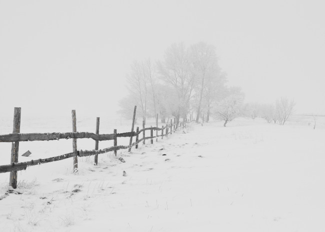 Обои картинки фото природа, зима, снег, мороз, метель, дорога