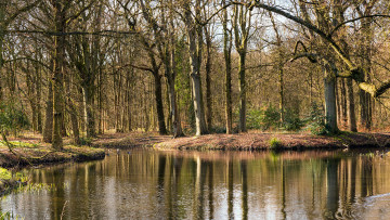 Картинка природа реки озера весна деревья река