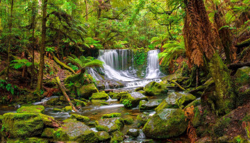 Картинка природа водопады деревья мох камни