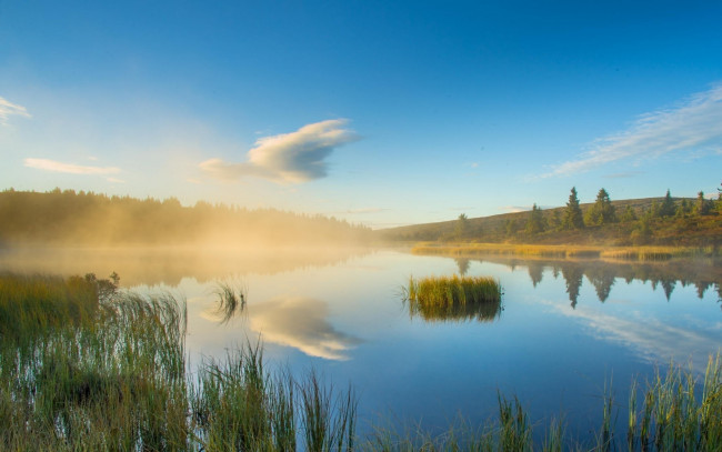 Обои картинки фото природа, реки, озера, трава, река, утро, облака, туман, небо