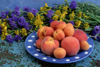 Картинка еда персики сливы абрикосы тарелка с персиками абрикосами