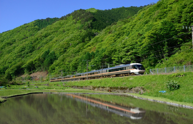 Обои картинки фото техника, поезда, вода, лес, поезд