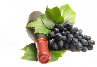 обоя еда, виноград, вино