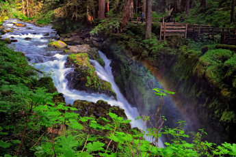 Картинка sol duc falls olympic national park washington природа водопады река лес радуга