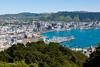 Картинка веллингтон новая зеландиия города зеландия панорама дома море