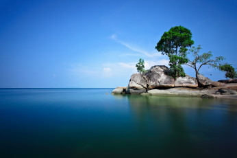 Картинка природа моря океаны камни остров деревья море