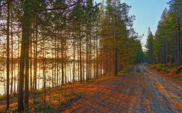 Картинка природа дороги дорога лес река пейзаж