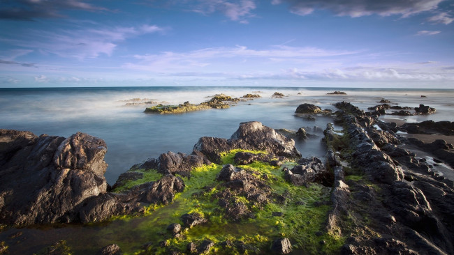 Обои картинки фото природа, побережье, камни, берег, океан, тина, туман, горизонт