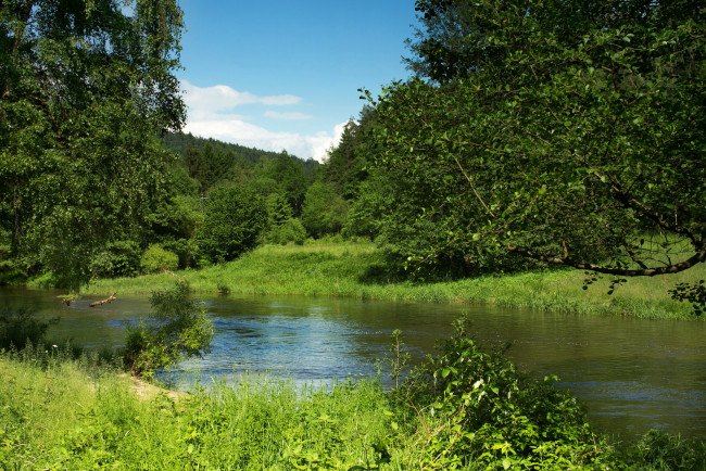 Обои картинки фото schwarzach, германия, бавария, природа, реки, озера, река, деревья