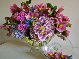 Картинка цветы букеты +композиции мускари гиацинты гортензия нelleborus букет морозник