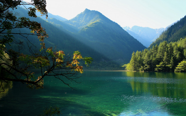 Обои картинки фото природа, реки, озера, леса, ветки, деревья, горы, озеро