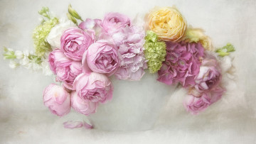 Картинка цветы букеты +композиции розы гортензия эустома