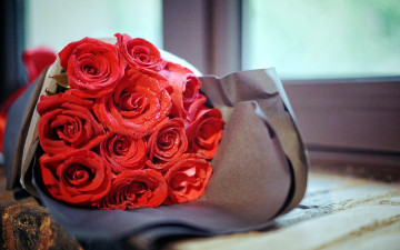 Картинка цветы розы упаковка букет капли бутоны