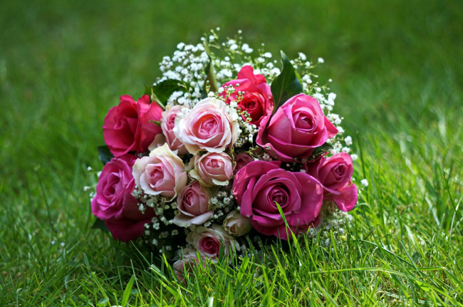 Обои картинки фото цветы, розы, трава, букет