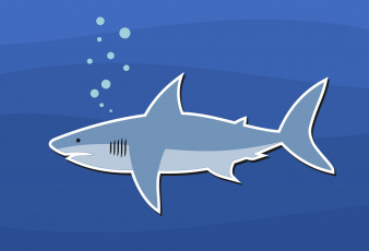 Картинка векторная+графика животные+ animals акула
