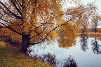 Картинка природа реки озера отражение вода осень