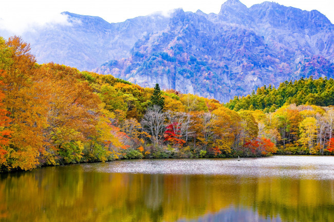 Обои картинки фото природа, реки, озера, отражение, вода, осень