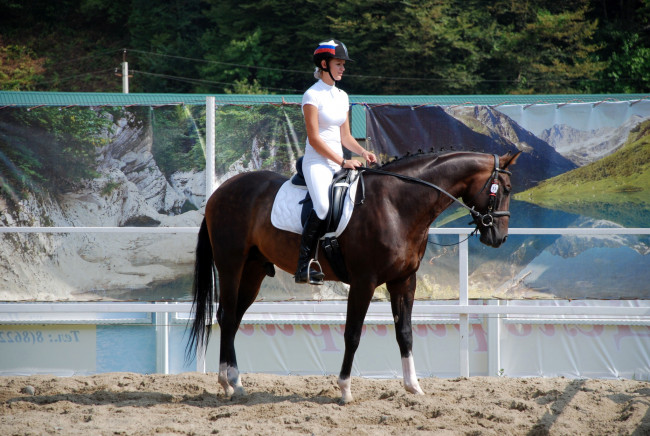 Обои картинки фото спорт, конный, конь, девушка