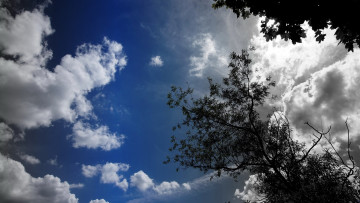 Картинка природа облака голубизна
