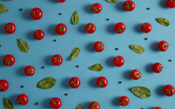 Картинка еда помидоры спелые красные базилик черри