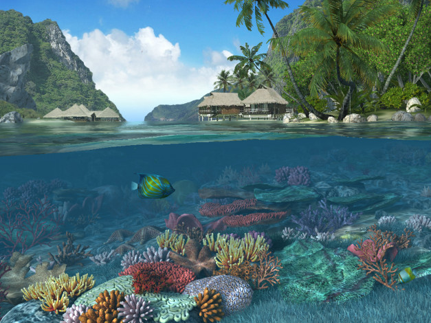 Обои картинки фото 3д, графика, nature, landscape, природа, пейзаж, кораллы, море, пальмы