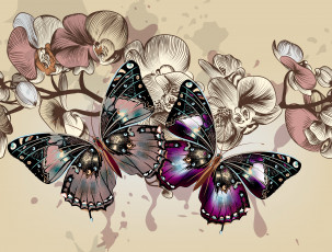 обоя векторная графика, животные, фон, орхидеи, цветы, цвета, крылья, бабочки