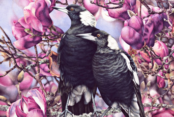 Картинка рисованное животные +птицы heidi willis птица весна арт