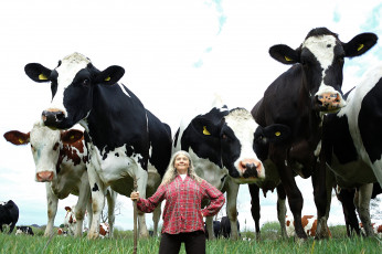 Картинка юмор+и+приколы постух женщина коровы