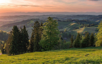 Картинка природа пейзажи пейзаж деревья холмы закат швейцария