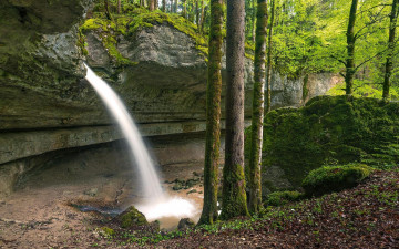 Картинка природа водопады скалы деревья лес водопад