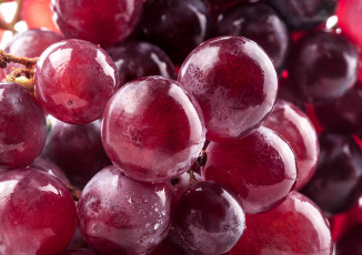 Картинка еда виноград красный гроздь ягоды макро