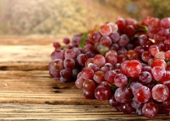 Обои картинки фото еда, виноград, ягоды, гроздь, осень, урожай, капли