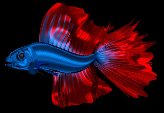 Картинка 3д+графика животные+ animals цвет металл рыбка петушок