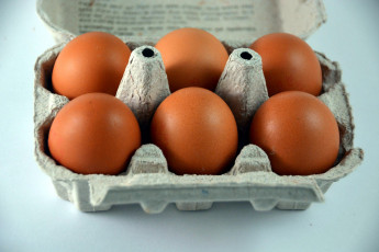 Картинка еда Яйца яйца лоток свежие