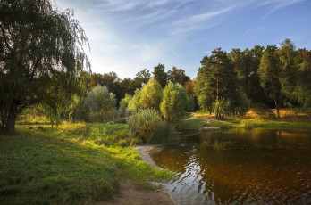 Картинка природа реки озера озеро трава лес cordovan рябь теплая осень