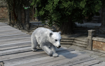 Картинка 3д+графика животные+ animals фон медведь