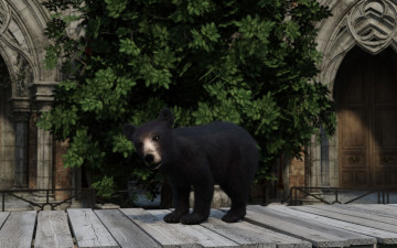 Картинка 3д+графика животные+ animals медведь фон