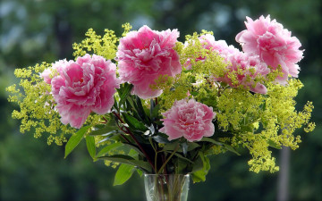 Картинка цветы букеты +композиции розовый