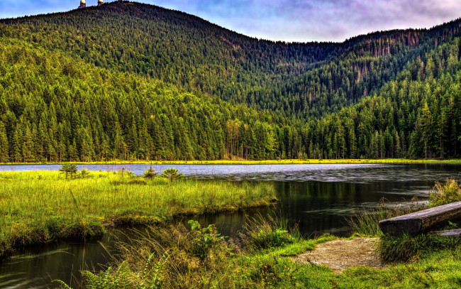 Обои картинки фото природа, реки, озера, лес, гора, река
