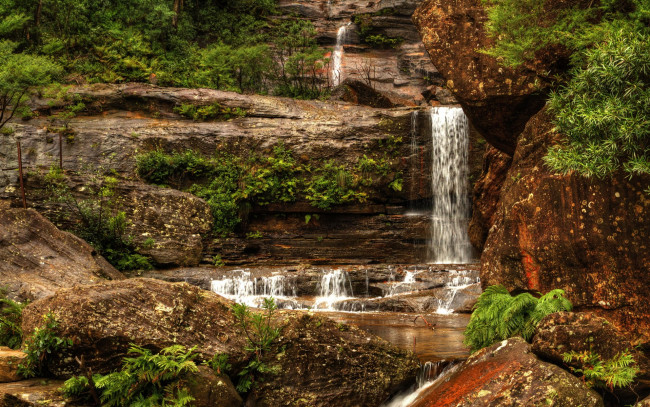 Обои картинки фото природа, водопады, австралия, кусты, водопад, камни, wentworth, falls