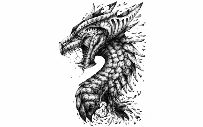Обои картинки фото рисованное, минимализм, dragon, teeth, head, scales