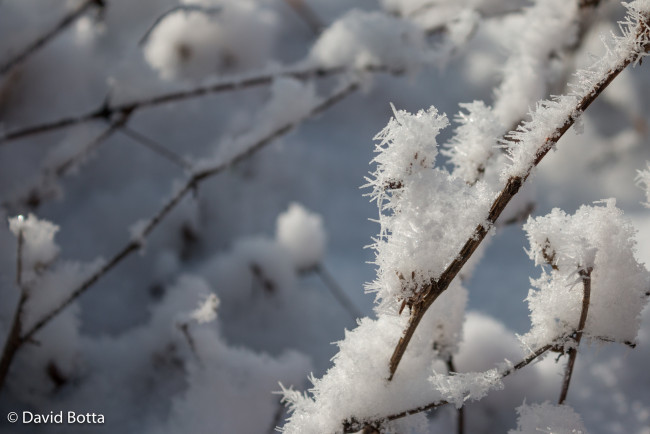 Обои картинки фото природа, макро, снег