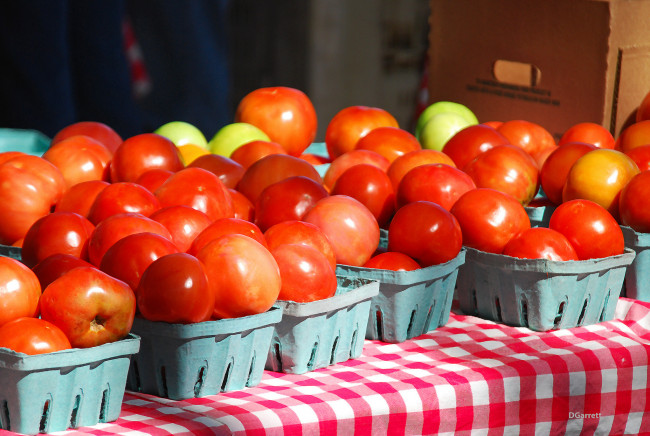 Обои картинки фото еда, помидоры, томаты, томат