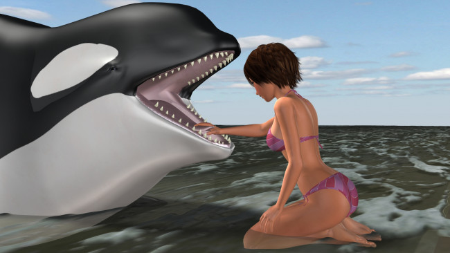 Обои картинки фото 3д графика, люди и животные , people and animals, море, дельфин, фон, девушка, взгляд
