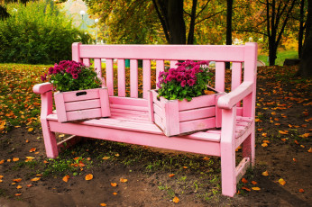 Картинка природа парк осень скамейка хризантемы