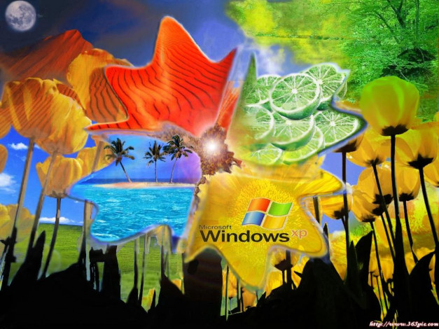 Обои картинки фото компьютеры, windows, xp