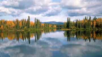 обоя природа, реки, озера, лес, пейзаж, отражение, деревья