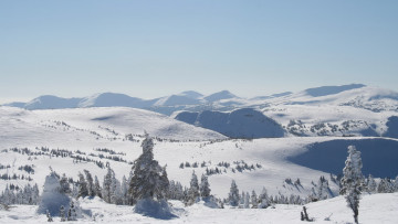 Картинка природа зима поле снег вид пейзаж красиво