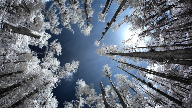 Обои картинки фото природа, зима, небо