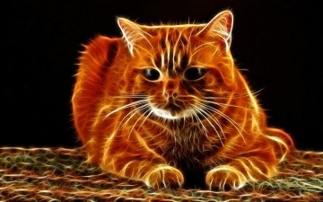 Картинка 3д графика animals животные кот кошка рыжий